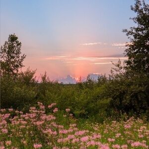 Meet your Posher, Gracie!